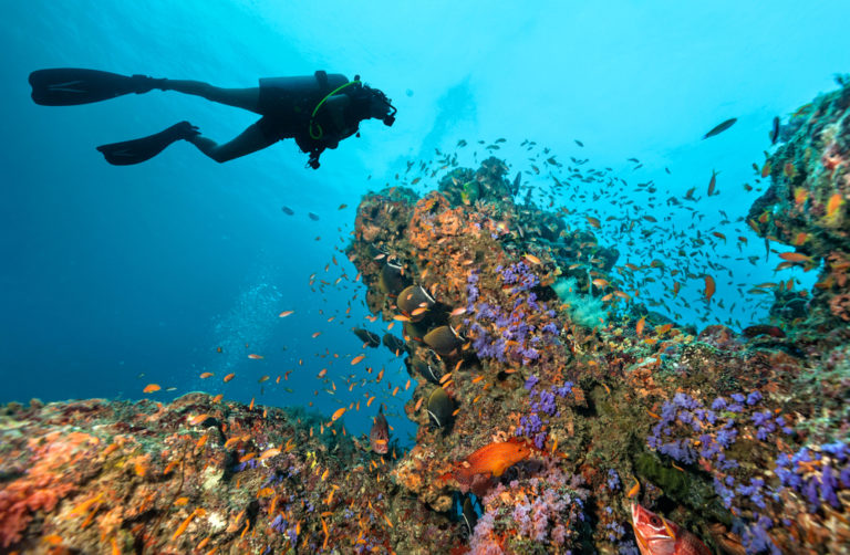 Maldives Liveaboard - http://www.divingsquad.com