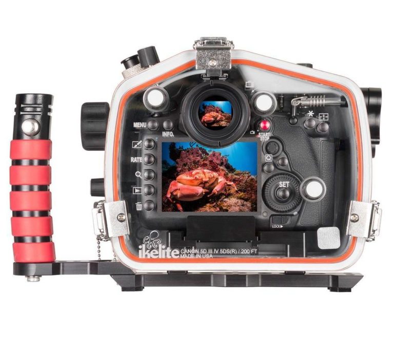 Best Diving Camera Reviews 2020 Diving Squad