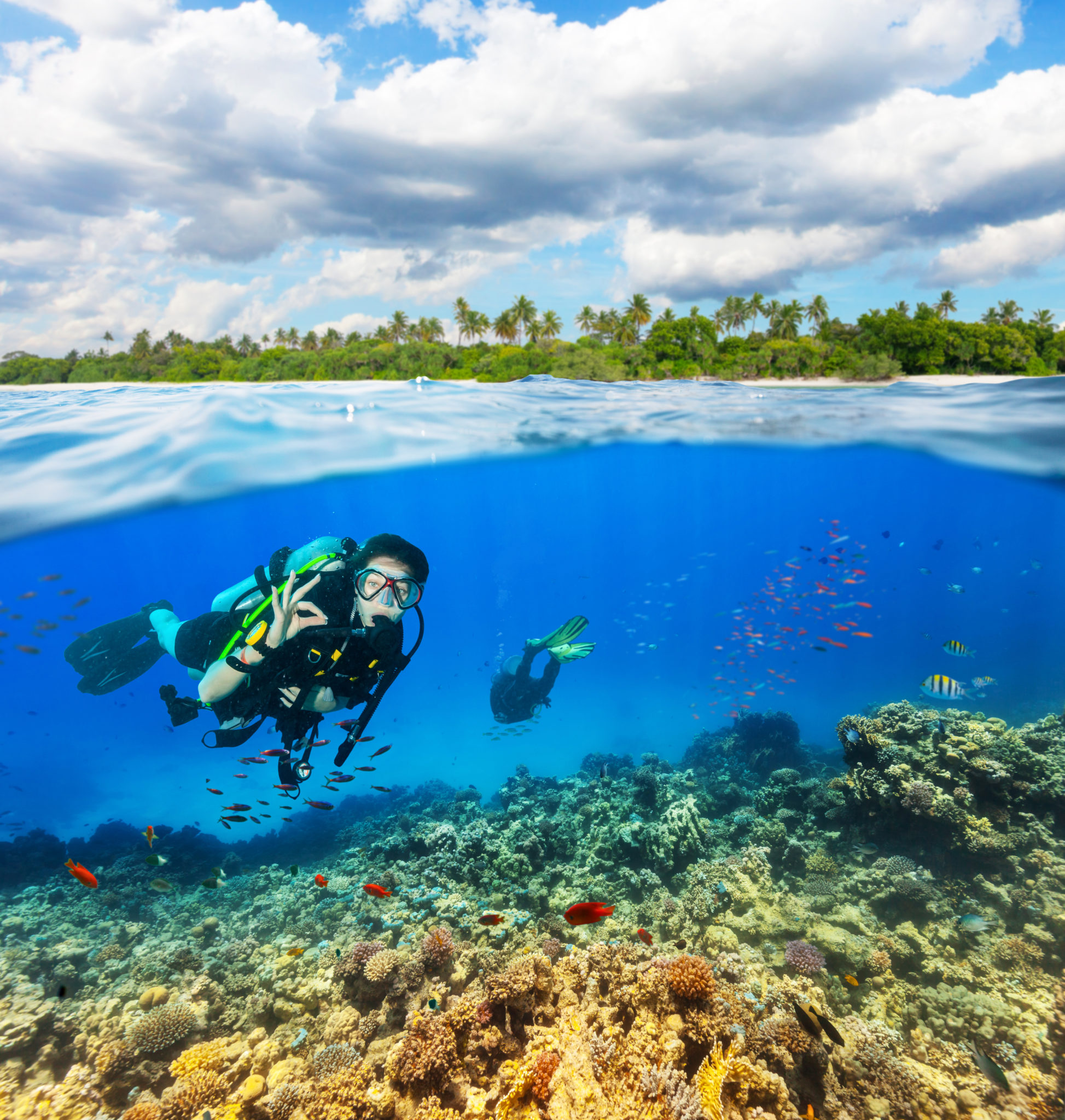 Best Scuba Diving Insurance Plans By Diving Squad 2021 Update