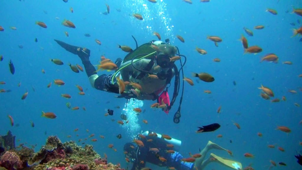 Scuba Diving BC Cressi Air Travel BCD Sports Diving & Snorkeling ...