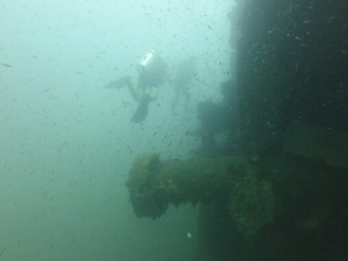 Scuba diver in murky waters at the SS Panay dive site of Siapalay.